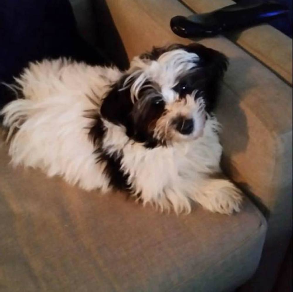 Meet your Posher, Jalyn